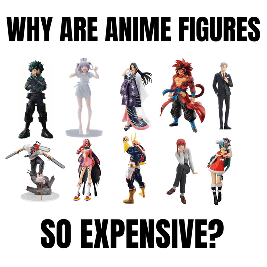 WHY ARE ANIME FIGURES SO EXPENSIVE?