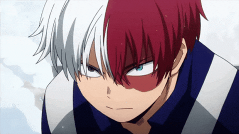 My Hero Academia - Todoroki Shouto - NEXT GENERATIONS!! E Prize